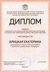 2021-2022 Брицкая Екатерина 11ам (РО-МХК-Терешкина М.В.)